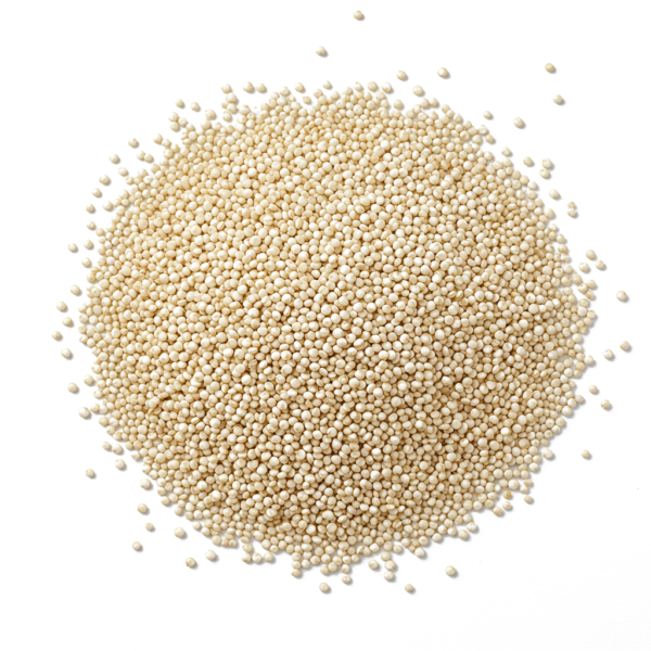 Quinoa blanc