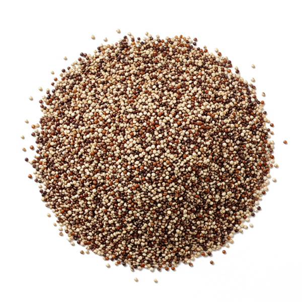 Quinoa Noir