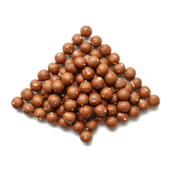 Noisettes salées